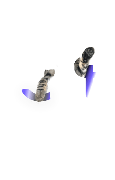 demo-attachment-544-Group_7645